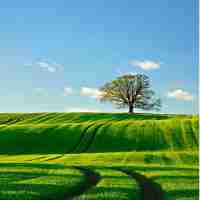 搜﻿索﻿功‍能‌怎‍么​关‍闭‌